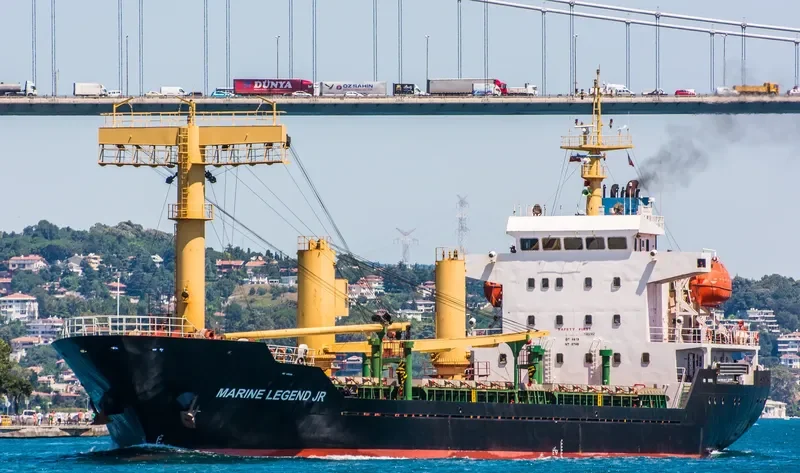 BELLIS General Cargo IMO 9381952 photo 8