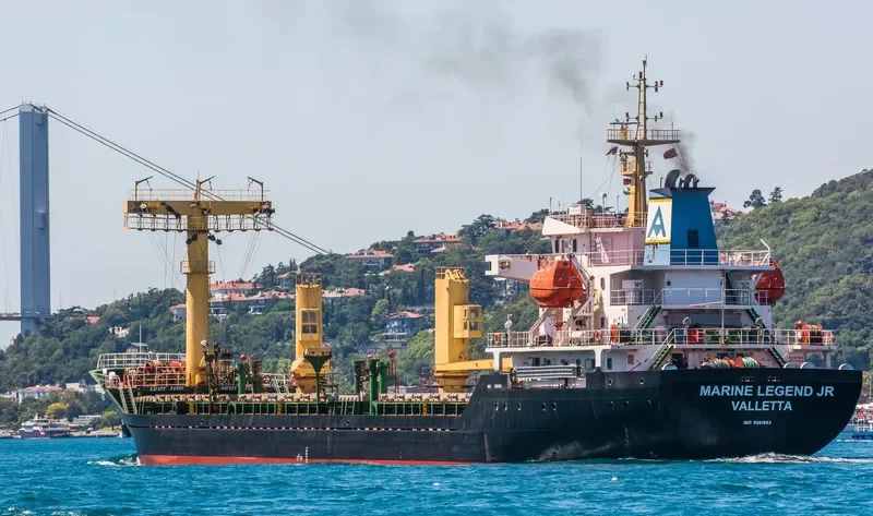 BELLIS General Cargo IMO 9381952 photo 9