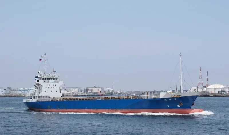 TA FENG General Cargo IMO 9382231 photo 2