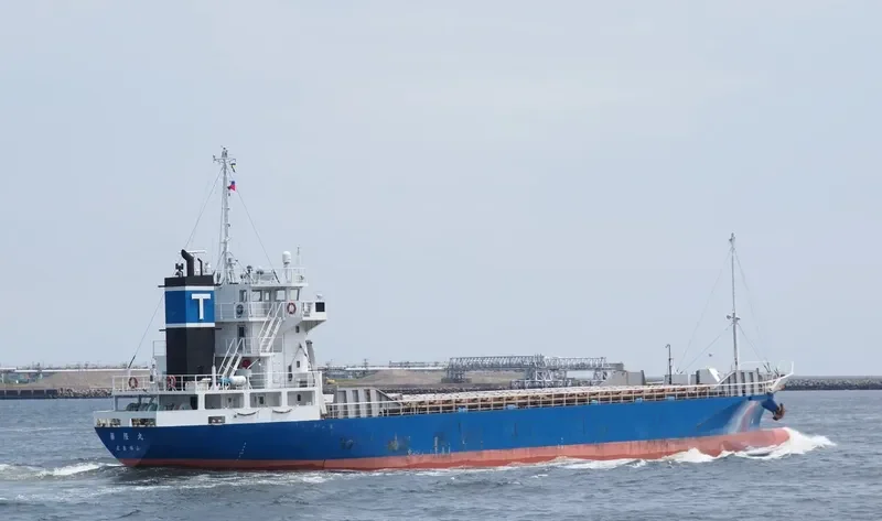 TA FENG General Cargo IMO 9382231 photo 3