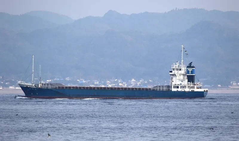 TA FENG General Cargo IMO 9382231 photo 6