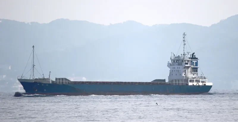 TA FENG General Cargo IMO 9382231 photo 8