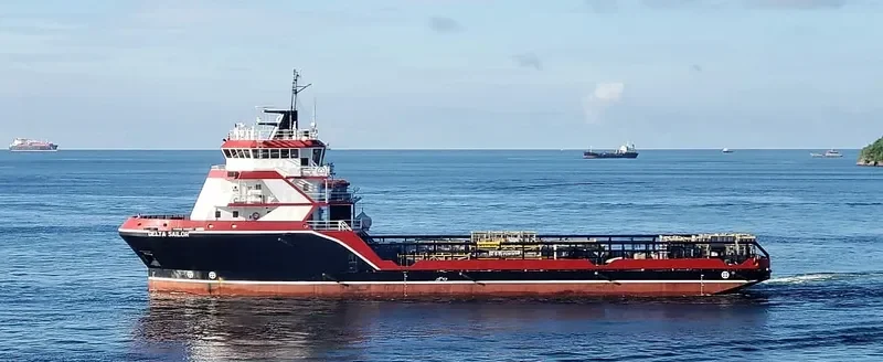 DELTA SAILOR Offshore Vessel IMO 9382293 photo 8