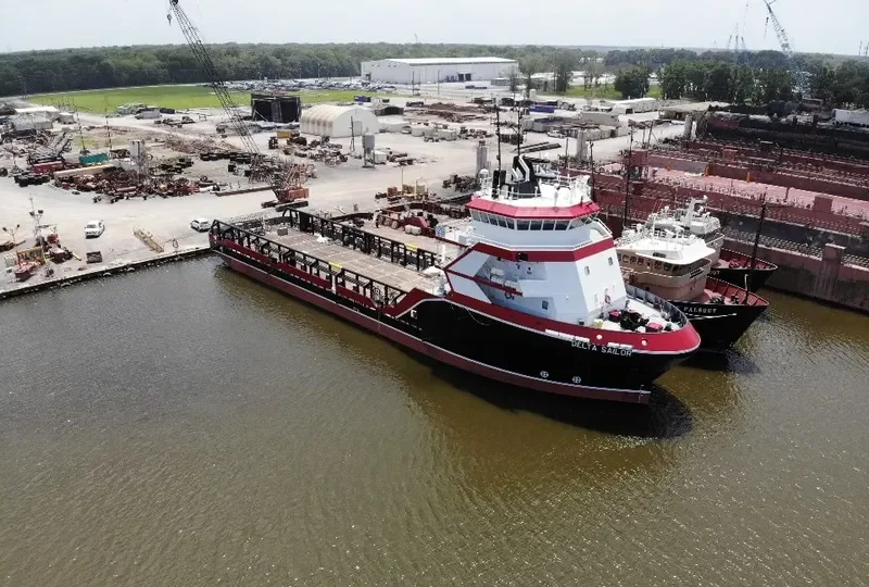 DELTA SAILOR Offshore Vessel IMO 9382293 photo 10