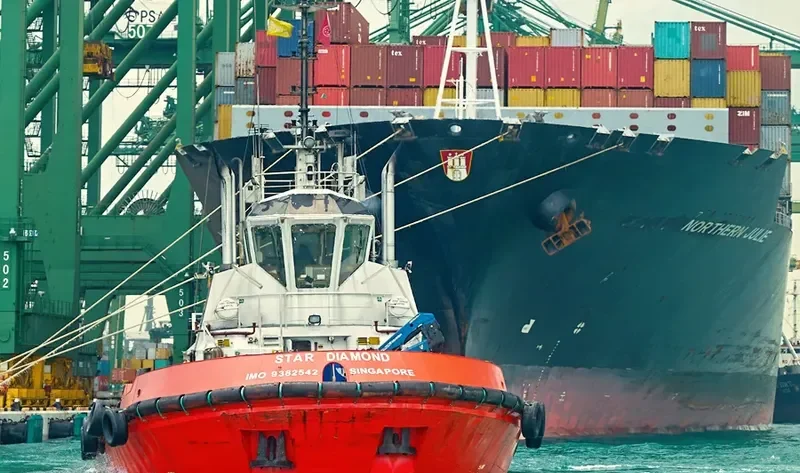 THOR General Cargo IMO 9382542 photo 3