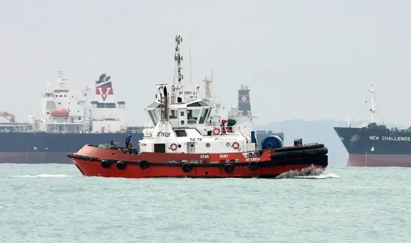 VNL RUBY General Cargo IMO 9382580 photo 2