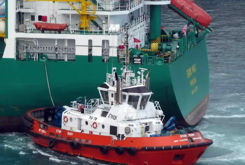 VNL RUBY General Cargo IMO 9382580 photo 4