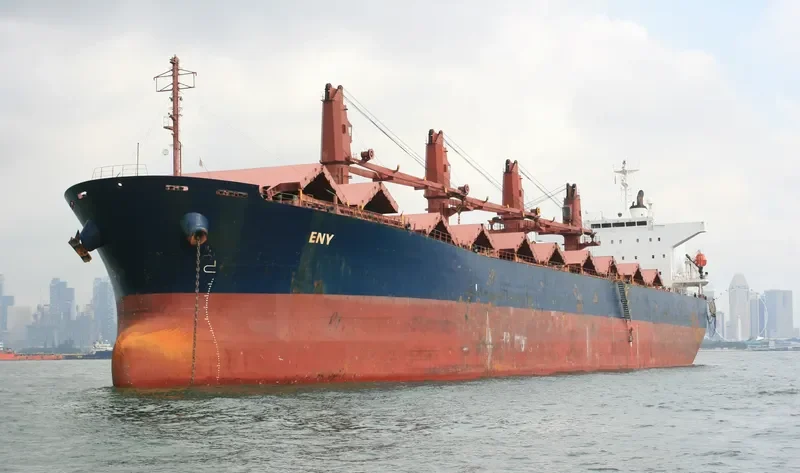 ENY Bulk Carrier IMO 9382695