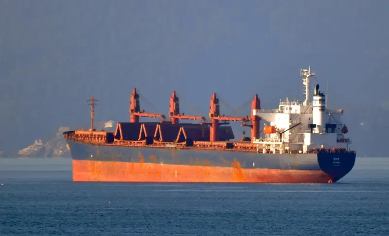 ENY Bulk Carrier IMO 9382695 photo 5