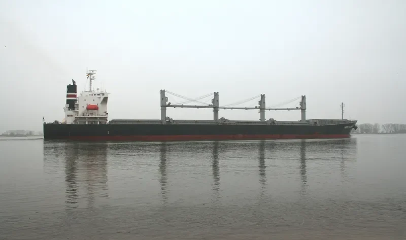 ENY Bulk Carrier IMO 9382695 photo 10