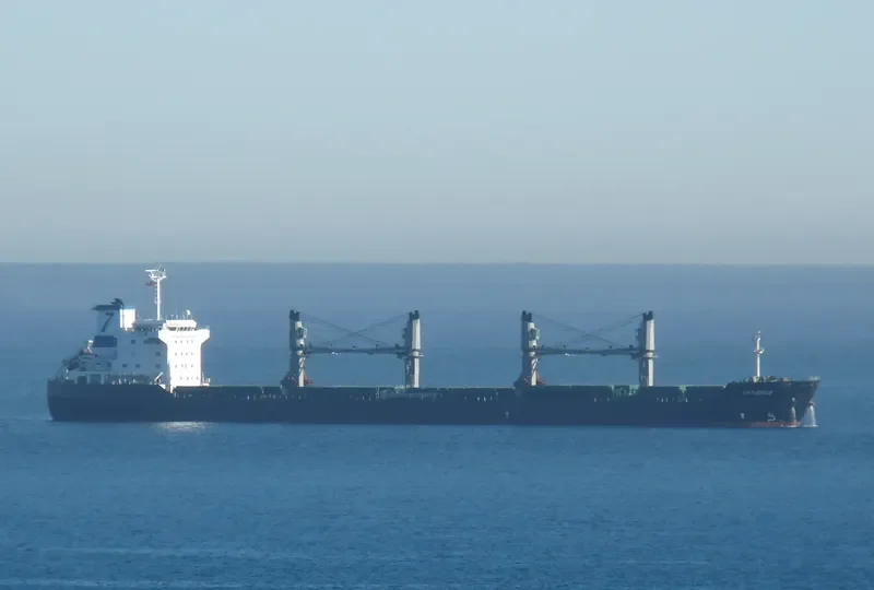 PANCARAN GLORY Bulk Carrier IMO 9382724 photo 2