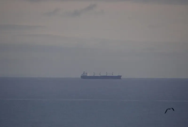 PANCARAN GLORY Bulk Carrier IMO 9382724 photo 3