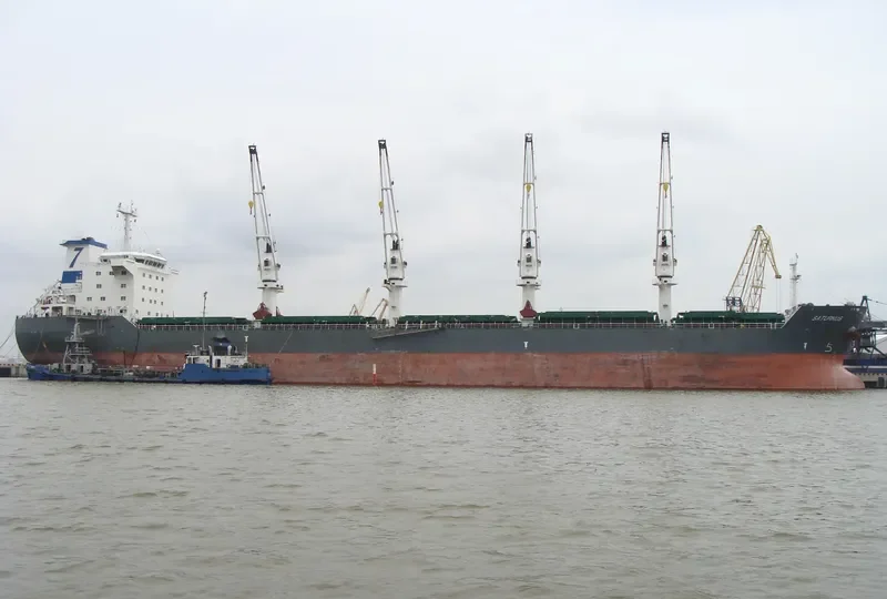 PANCARAN GLORY Bulk Carrier IMO 9382724 photo 7
