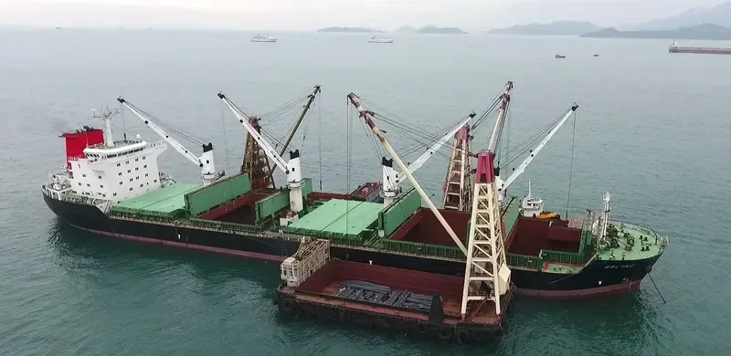 ERLYNE General Cargo IMO 9382736