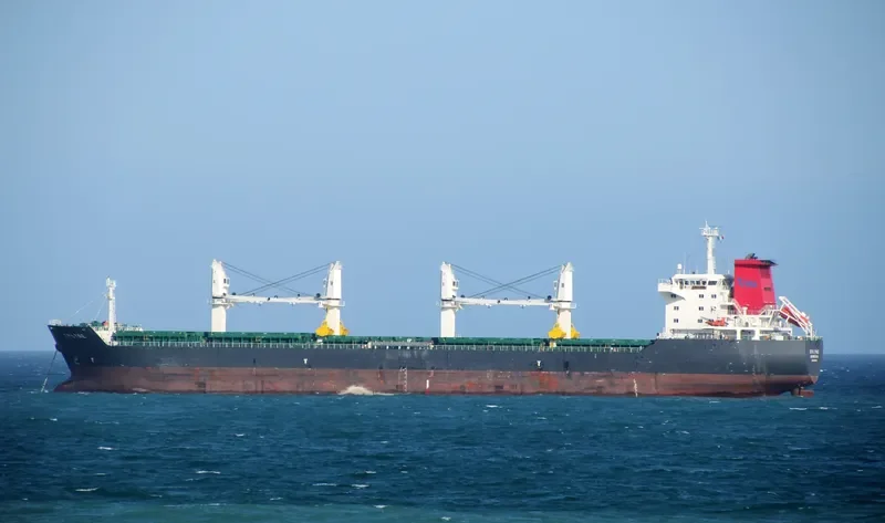 ERLYNE General Cargo IMO 9382736 photo 4