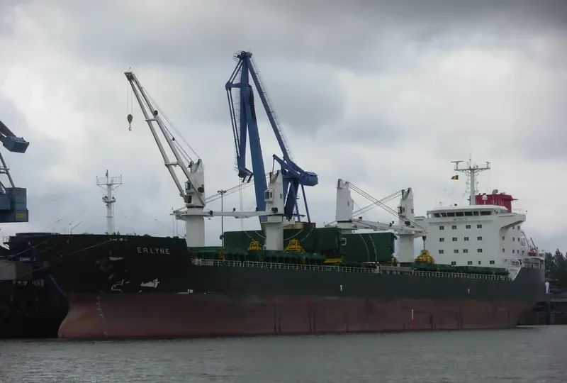 ERLYNE General Cargo IMO 9382736 photo 5