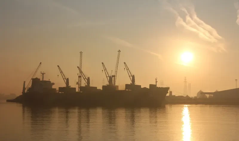 ERLYNE General Cargo IMO 9382736 photo 6