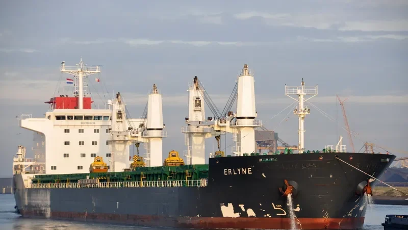 ERLYNE General Cargo IMO 9382736 photo 7
