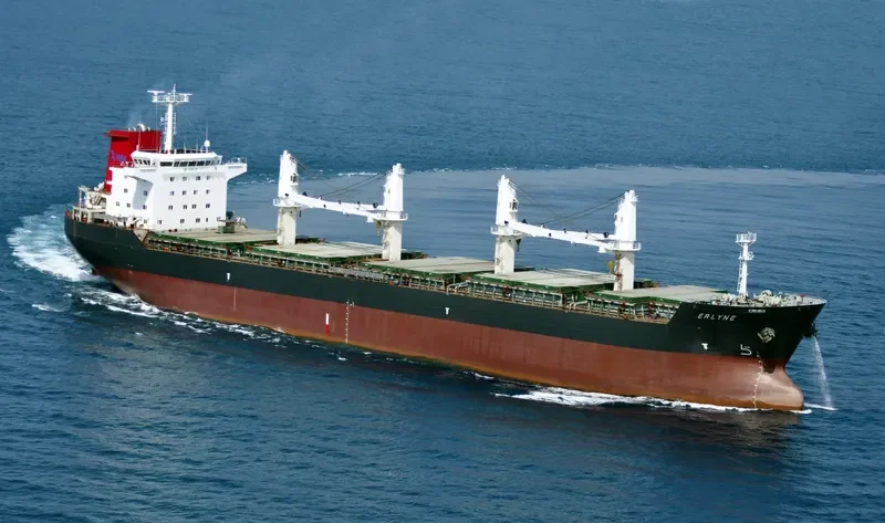 ERLYNE General Cargo IMO 9382736 photo 8