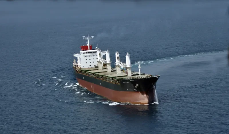 ERLYNE General Cargo IMO 9382736 photo 9