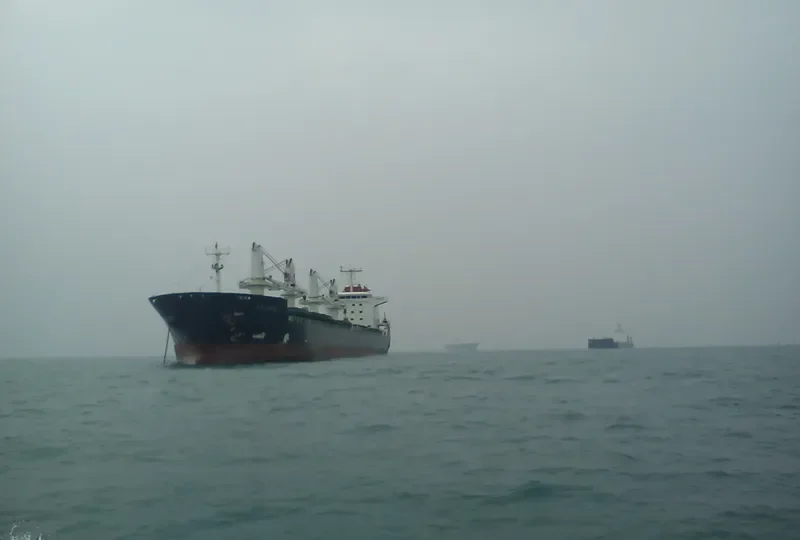 ERLYNE General Cargo IMO 9382736 photo 10