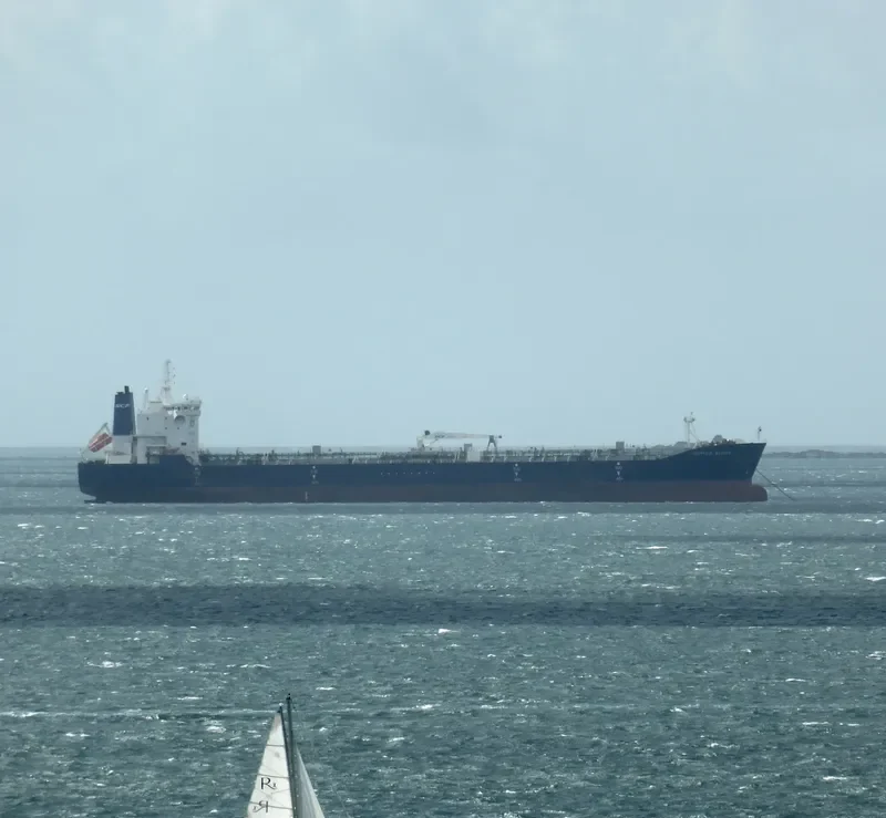 TRANSSIB BRIDGE Tanker IMO 9382798 photo 7