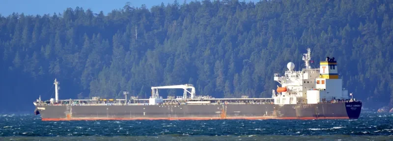 WORLD HARMONY Tanker IMO 9382970 photo 6