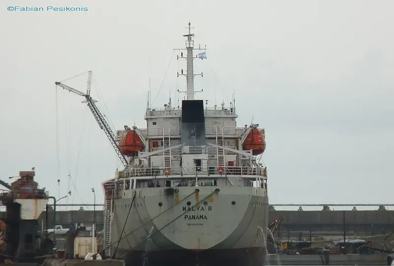 MALVA H Tanker IMO 9383089 photo 5