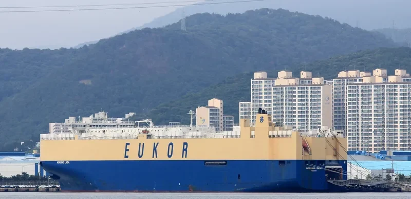 MORNING LINDA General Cargo IMO 9383106 photo 4