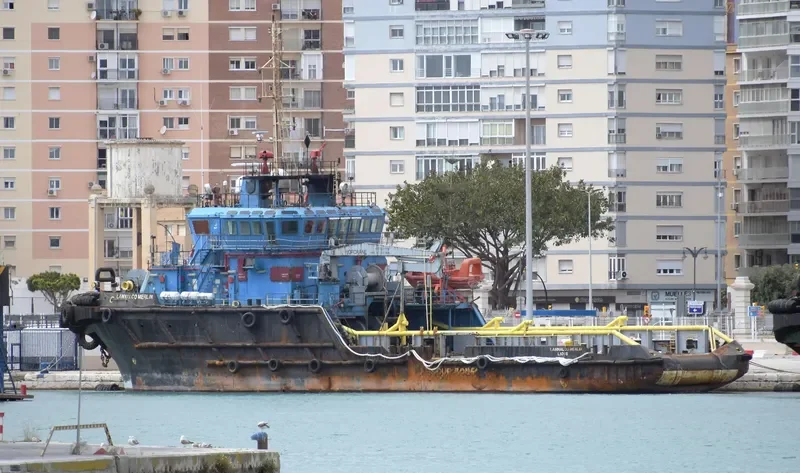 LAMNALCO MERLIN General Cargo IMO 9383168 photo 5