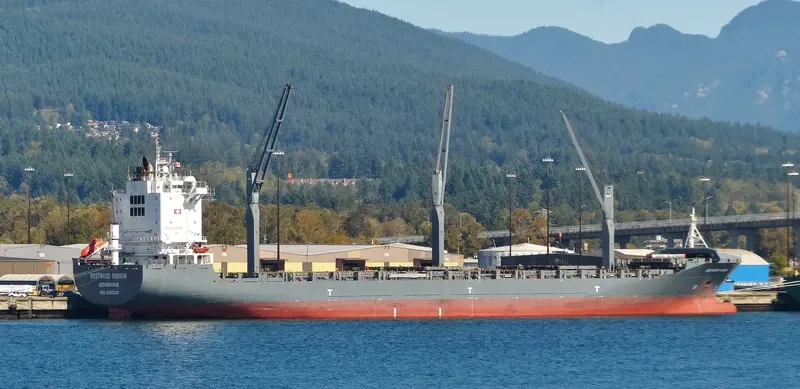 SEALAND LOS ANGELES Container Ship IMO 9383235 photo 10