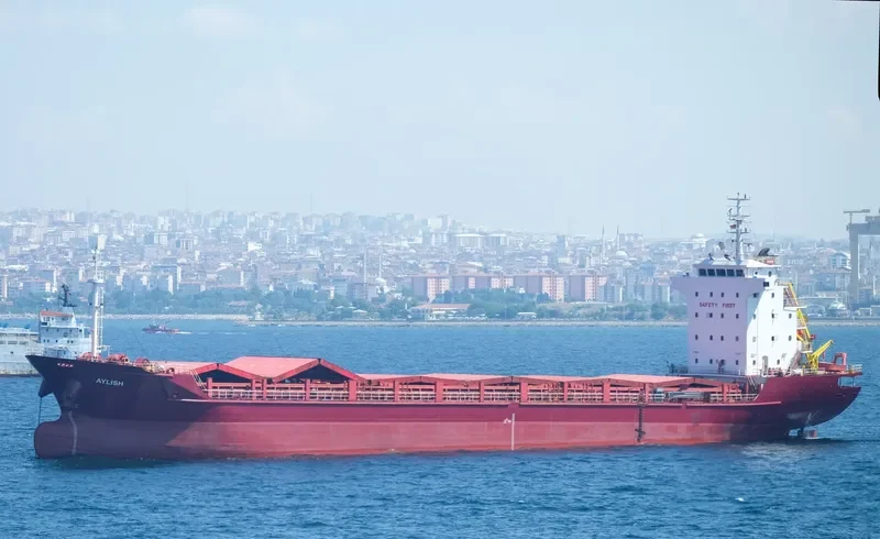 TEVFIK BEY General Cargo IMO 9383326