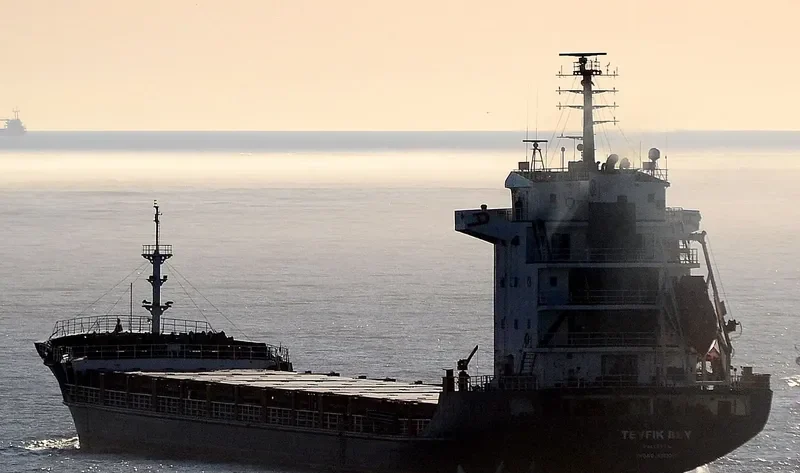 TEVFIK BEY General Cargo IMO 9383326 photo 8