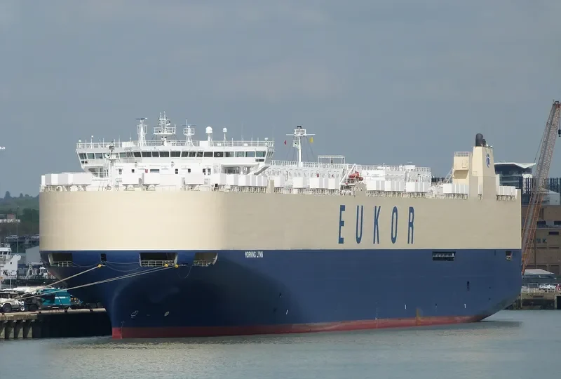 MORNING LYNN General Cargo IMO 9383429