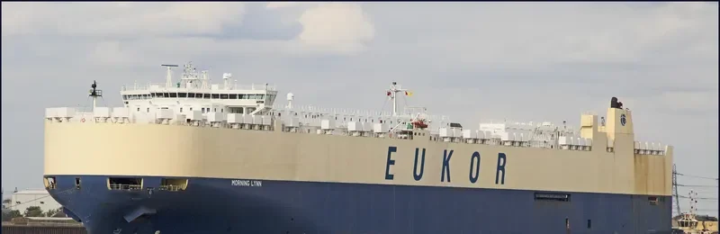 MORNING LYNN General Cargo IMO 9383429 photo 3