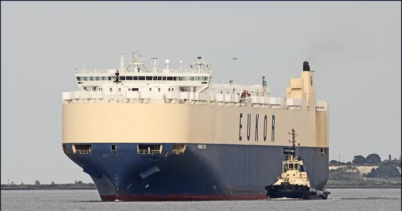 MORNING LYNN General Cargo IMO 9383429 photo 4