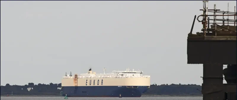 MORNING LYNN General Cargo IMO 9383429 photo 5