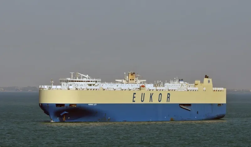 MORNING LUCY General Cargo IMO 9383431 photo 2