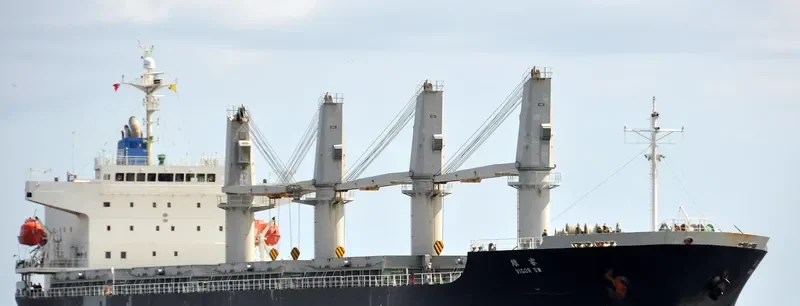 VIGOR SW General Cargo IMO 9383508 photo 2