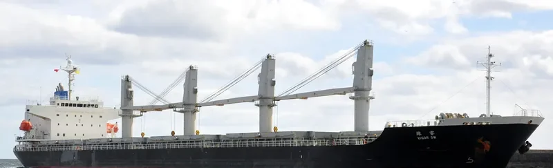 VIGOR SW General Cargo IMO 9383508 photo 3
