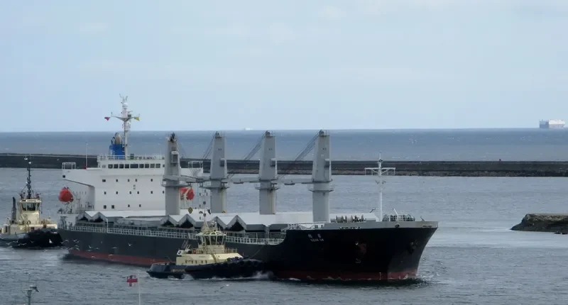 VIGOR SW General Cargo IMO 9383508 photo 6