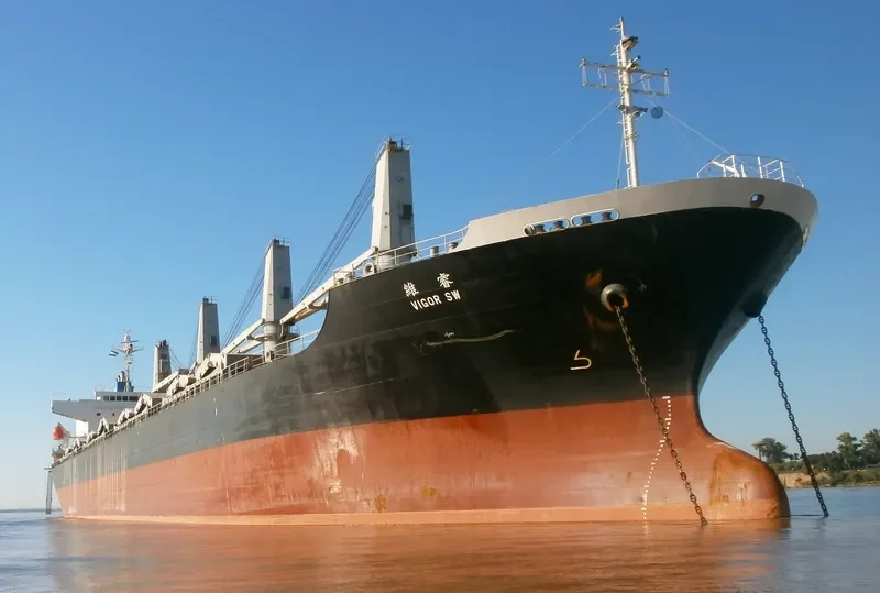 VIGOR SW General Cargo IMO 9383508 photo 9