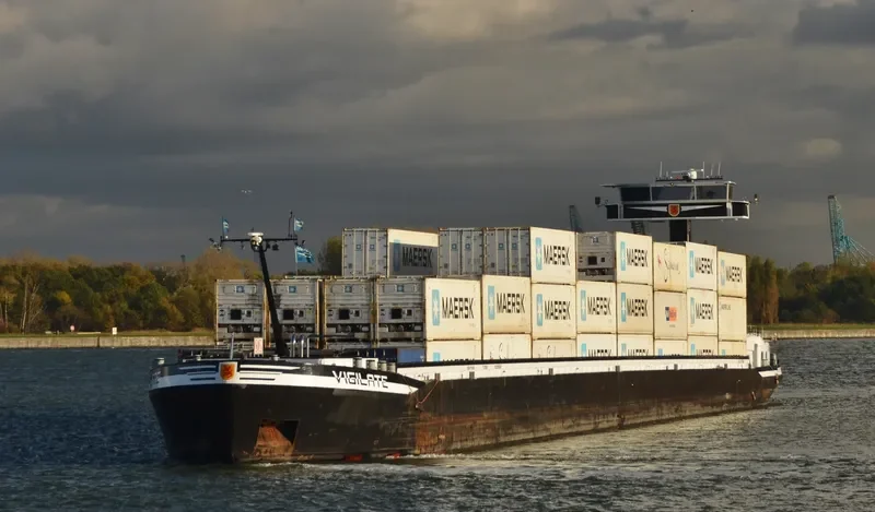 VIGILATE General Cargo IMO 9383584