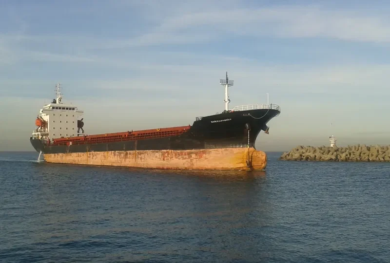 BALAT General Cargo IMO 9383730 photo 10