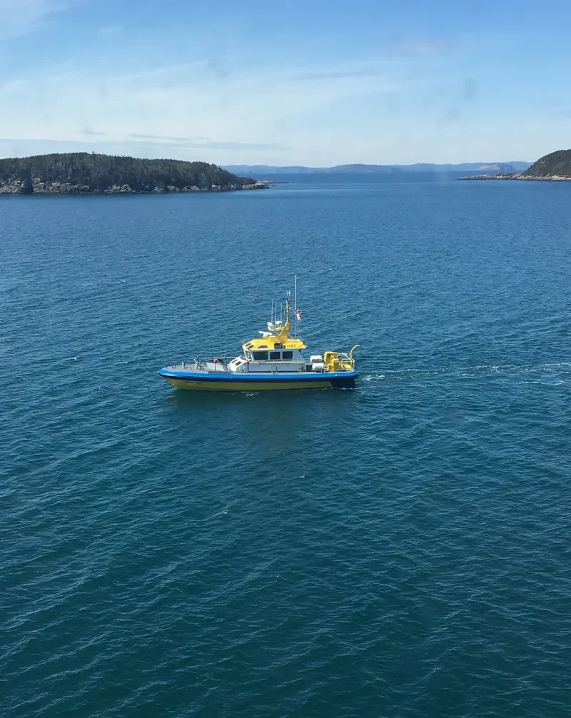 AVALON PILOT General Cargo IMO 9383821