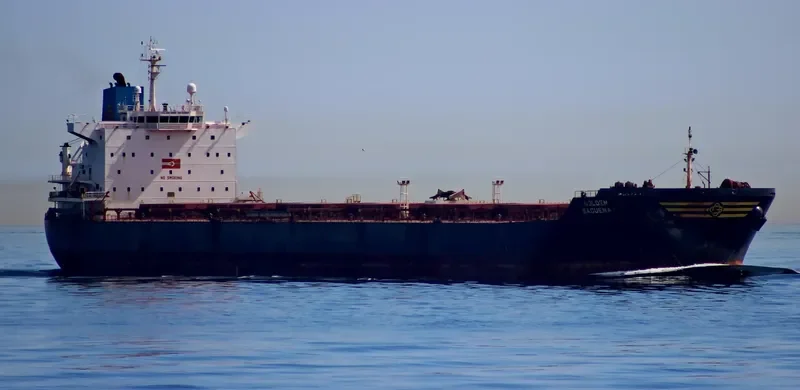 EVANGELISTRIA Bulk Carrier IMO 9383857 photo 2