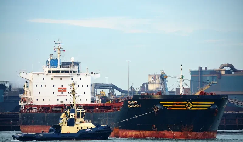EVANGELISTRIA Bulk Carrier IMO 9383857 photo 3