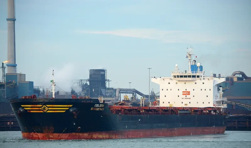 EVANGELISTRIA Bulk Carrier IMO 9383857 photo 4