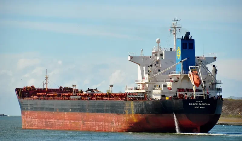 EVANGELISTRIA Bulk Carrier IMO 9383857 photo 6