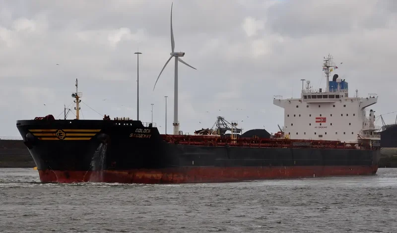 EVANGELISTRIA Bulk Carrier IMO 9383857 photo 7